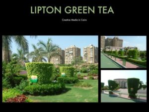 110911 Lipton Greentea