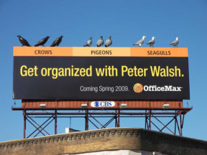 180911 Get Organized With Peter Walsh